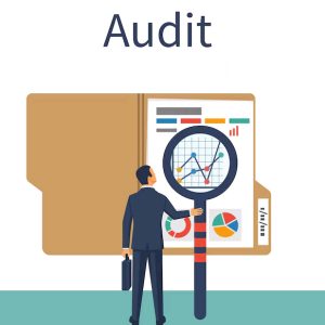 Labour Laws Audit And Consulting Services